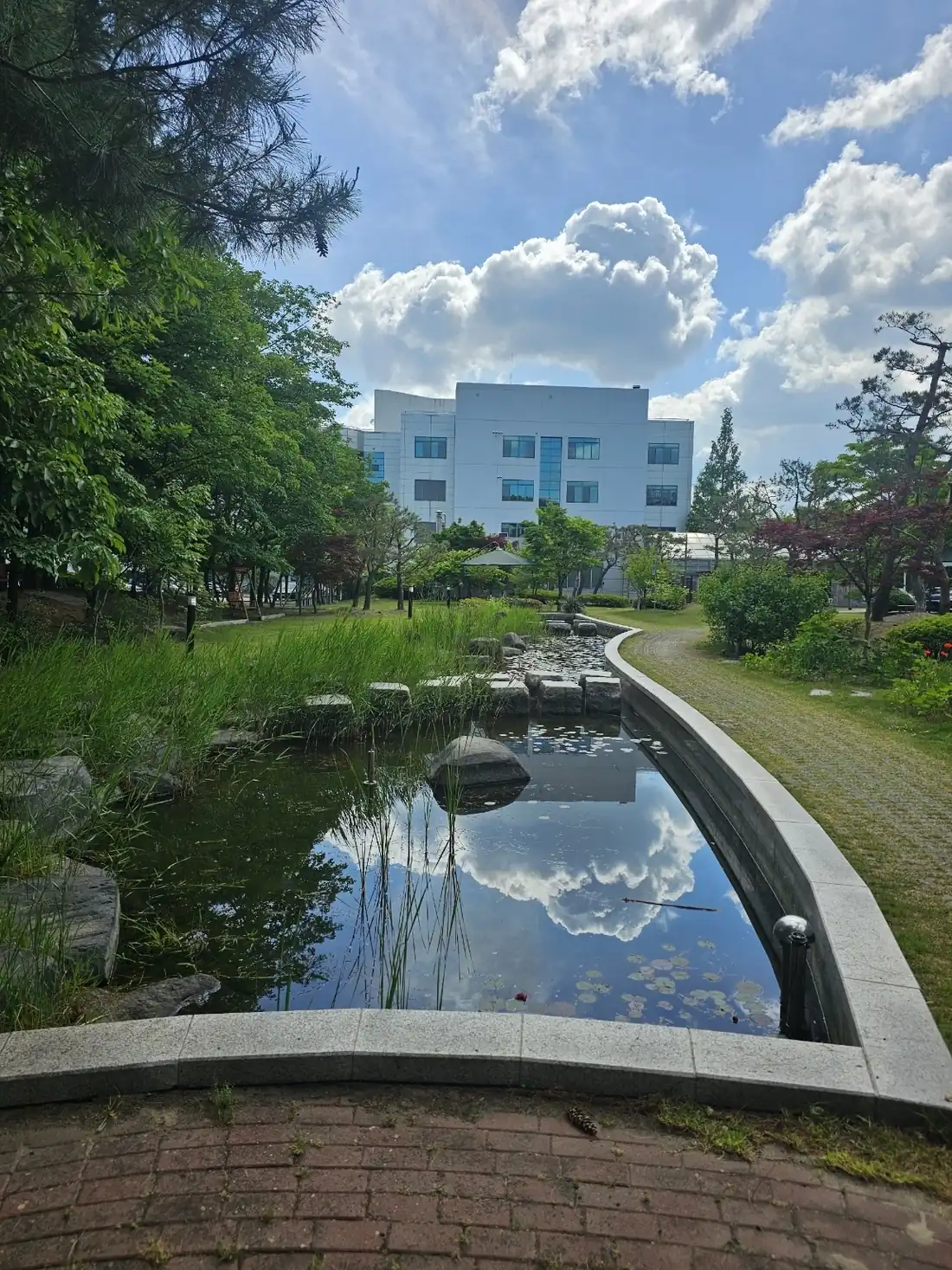 수생식물 수변 연못 준설·수질 정비 및 호안 정돈 대전 유성구 도룡동 시공 후